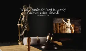 Read more about the article What Is Burden Of Proof In Law Of Evidence | Onus Probandi