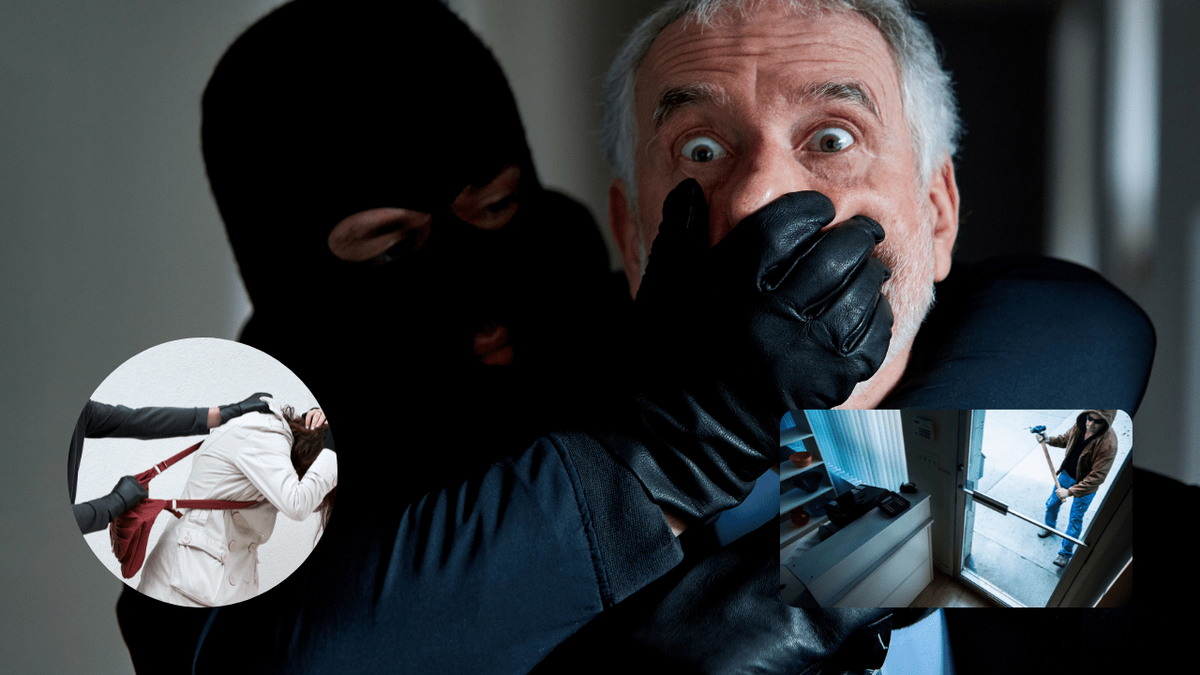 What Is The Difference Between Robbery And Theft [Simple Theft]