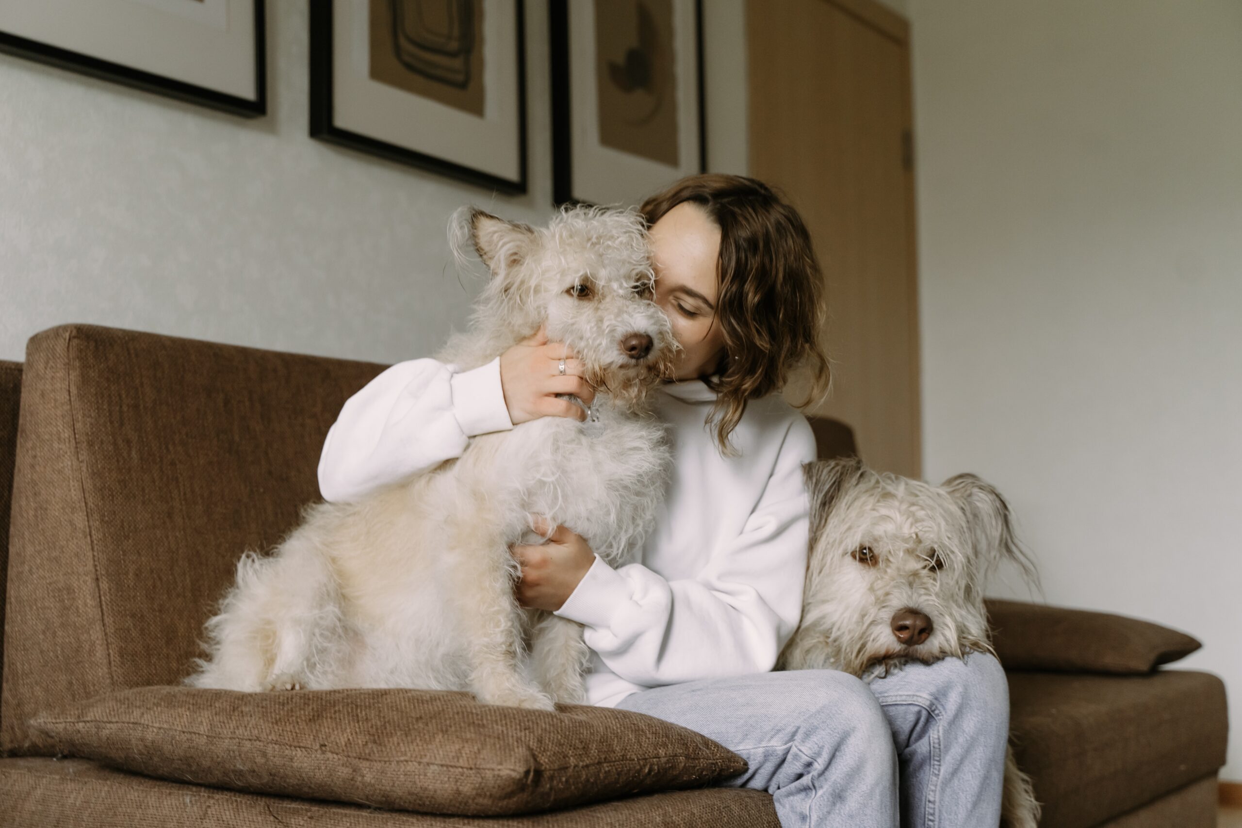 You are currently viewing Making Arrangements For Pets After Death